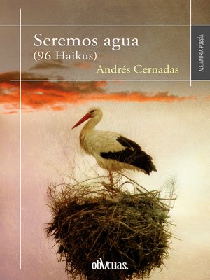 cover image of Seremos agua